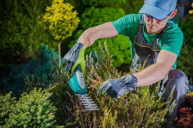 landscaping services Whitehall